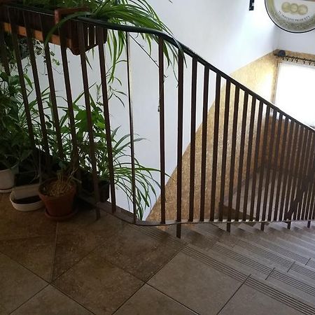 Dom Sportowca Roko Apartment Gdansk Ngoại thất bức ảnh